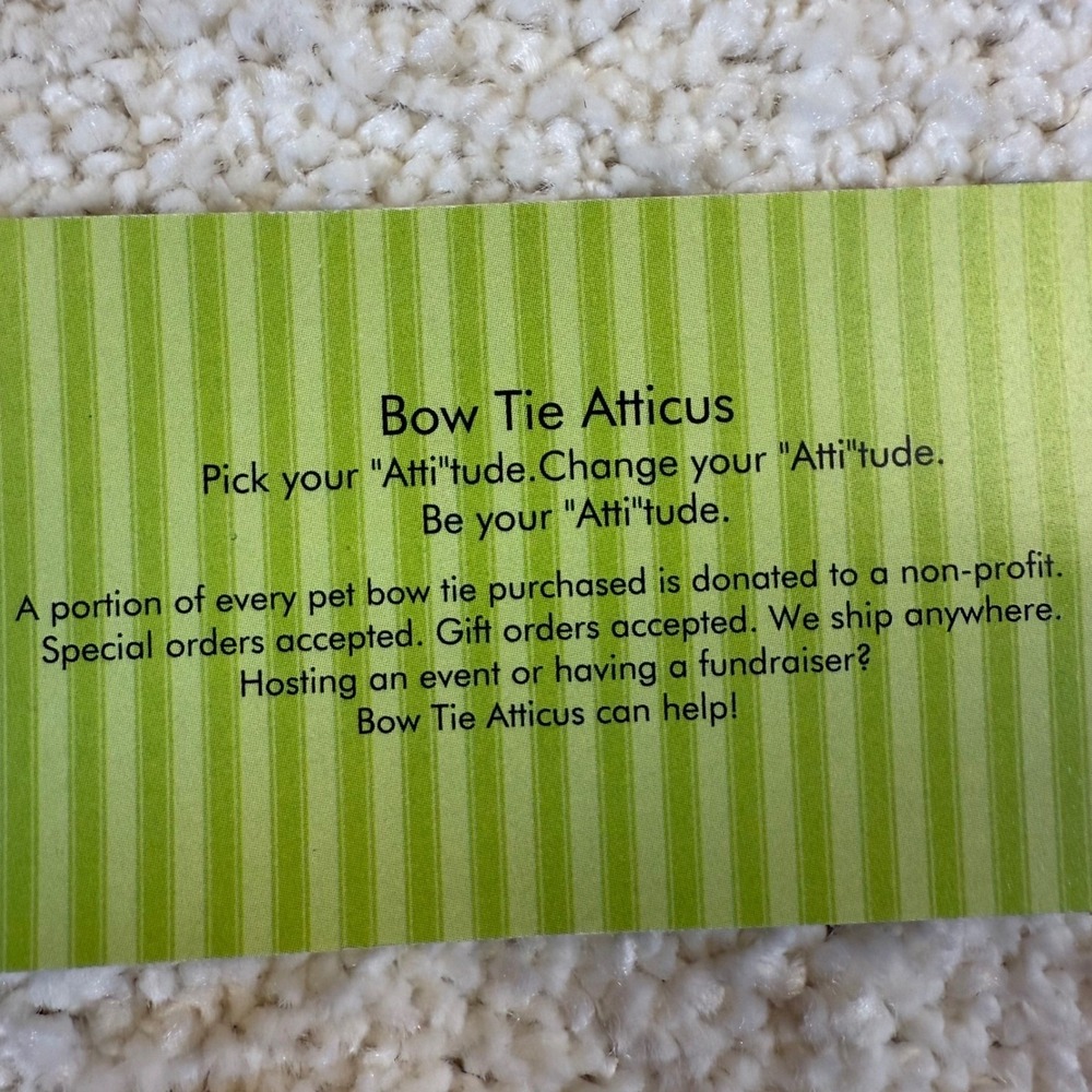 NWOT Pet Bow Tie Atticus Baltimore Ravens NFL Football‎ - Picture 5 of 5